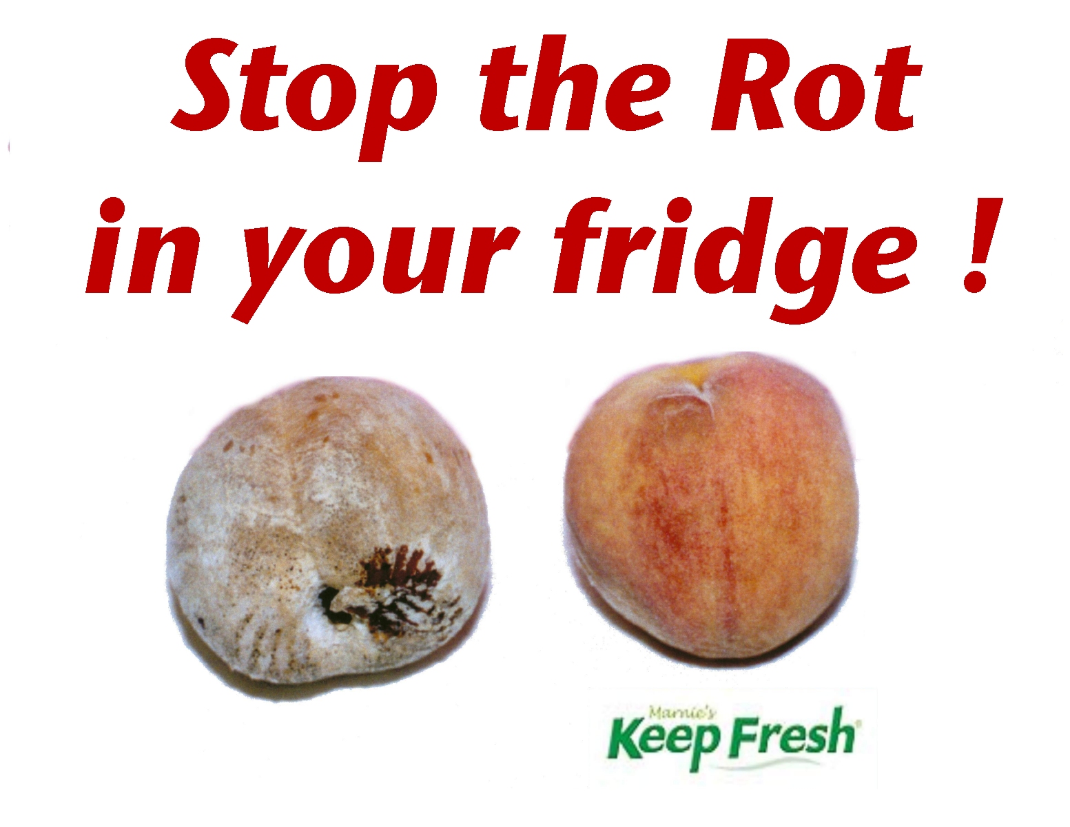 FBK - Stop the Rot