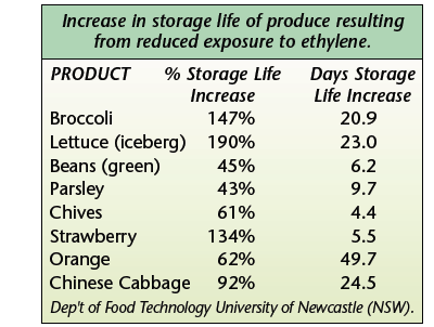 IMAGE KF Web Storage Chart