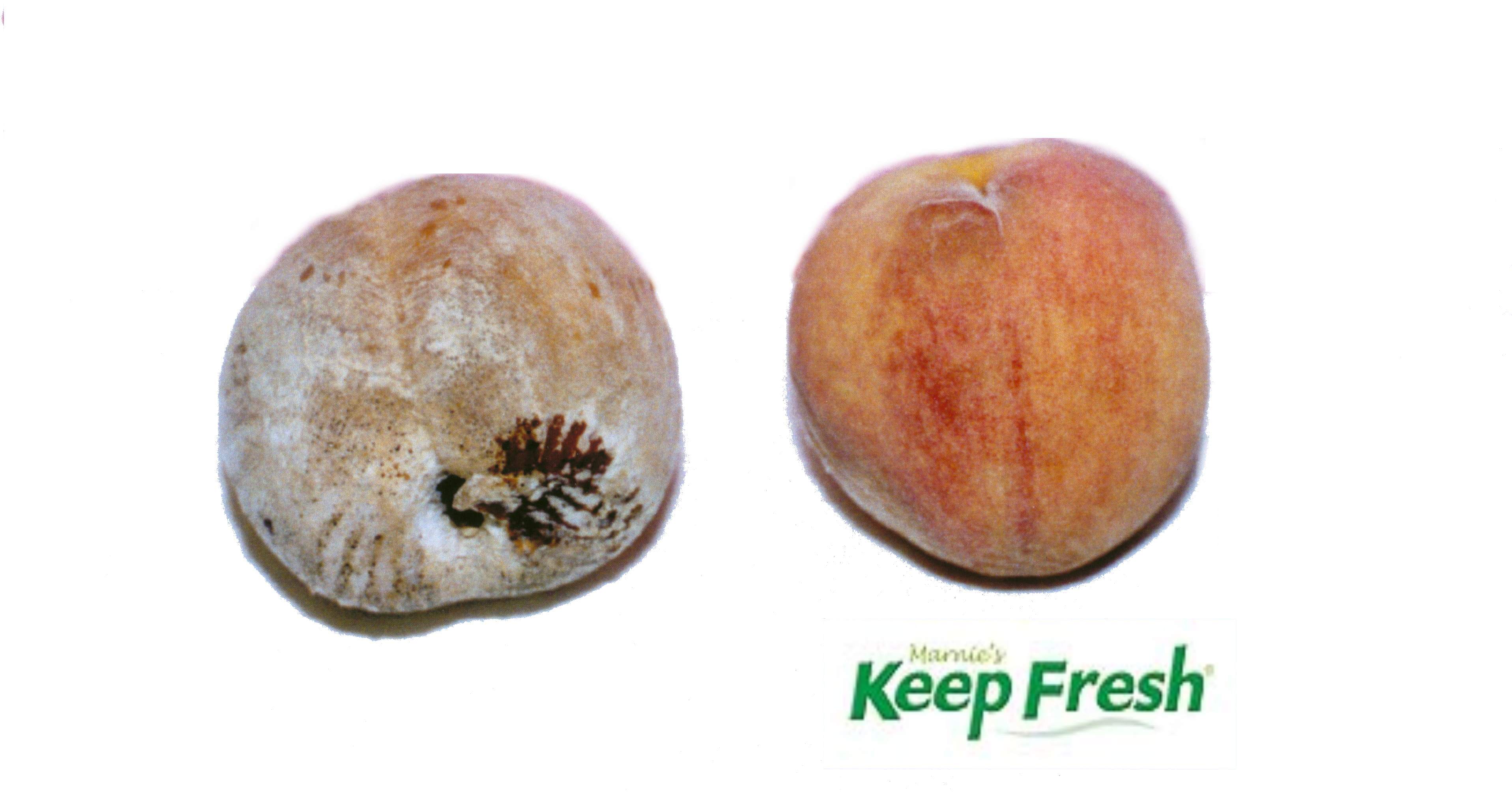 KFW - Peach storage 3