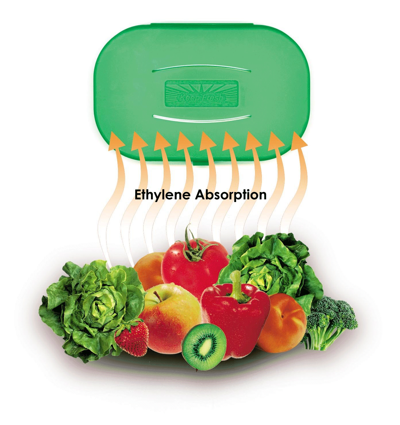 KeepFresh Absorption 2